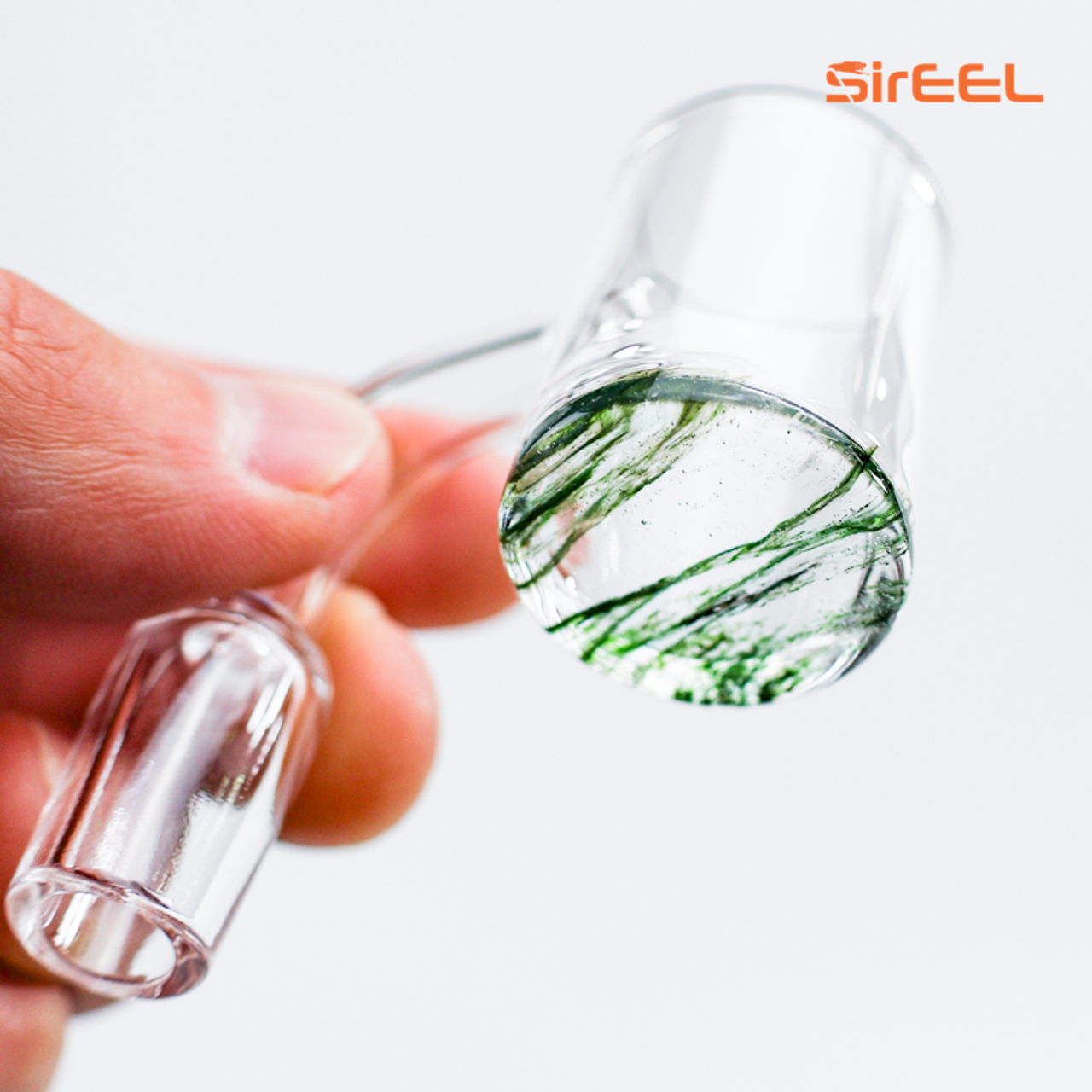 SE-QBNG-CLRBTMBKT-14M